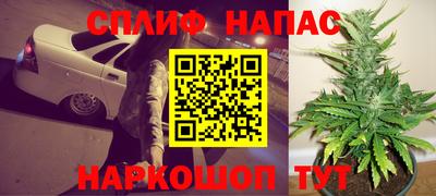 индика Пугачёв