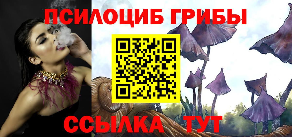 где купить   Псилоцибиновые грибы мицелий  Вход с VPN  Тара 